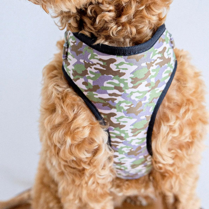 Camouflage harness - Poppie