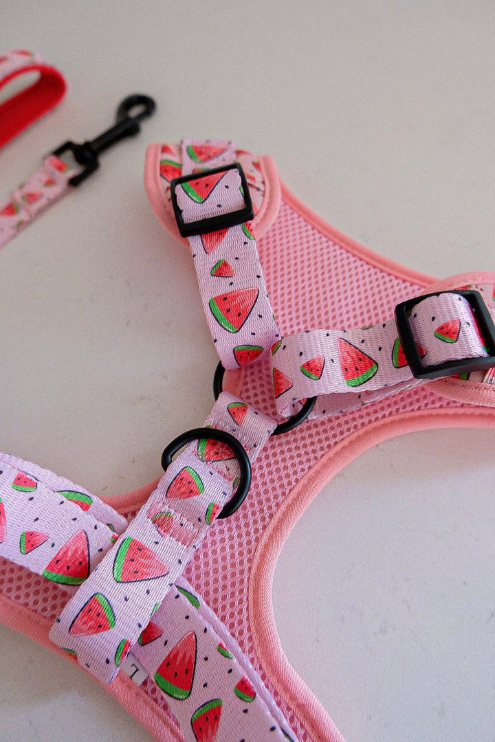 Melon Walking Set - Poppie