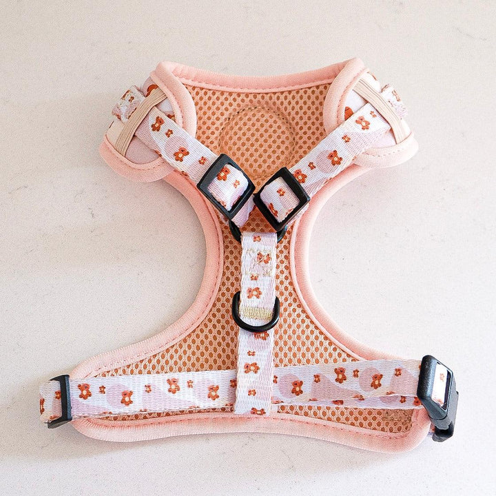 Teddie harness - Poppie