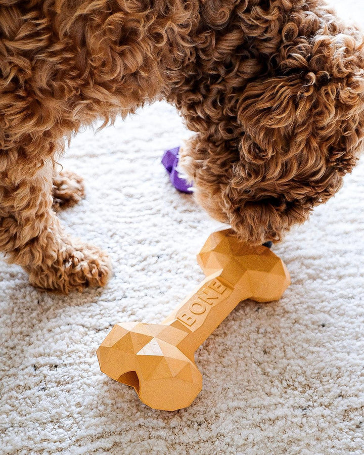 Diamond Natural Rubber Bone Toy - Poppie