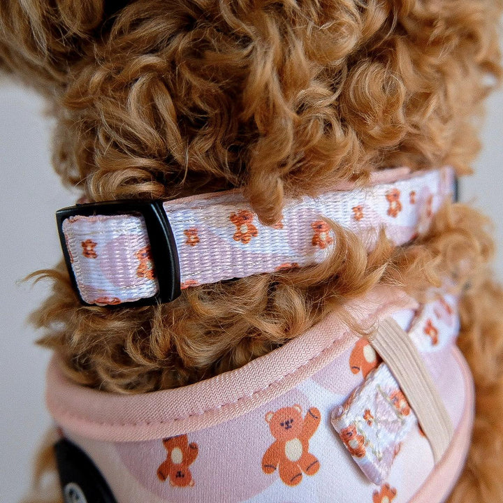 Teddie collar - Poppie