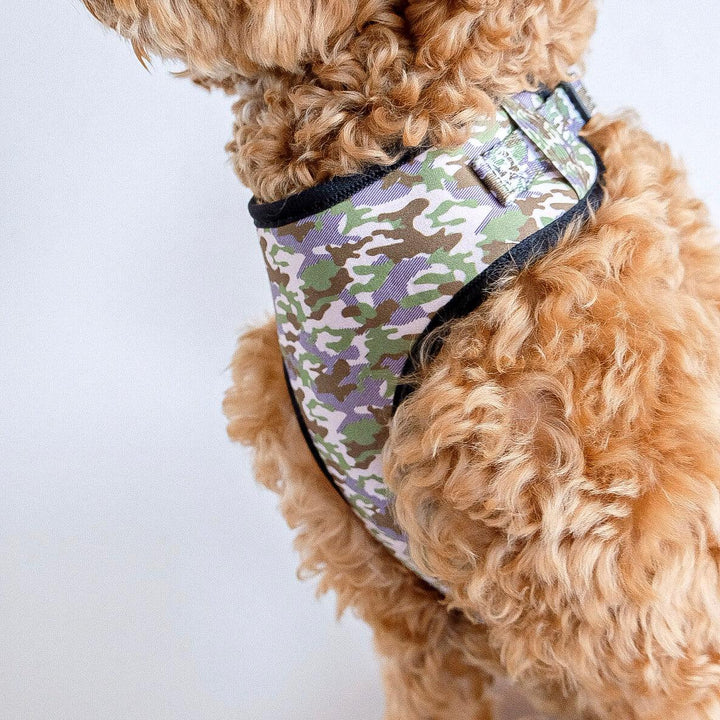 Camouflage harness - Poppie