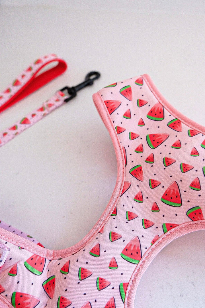 Melon Walking Set - Poppie