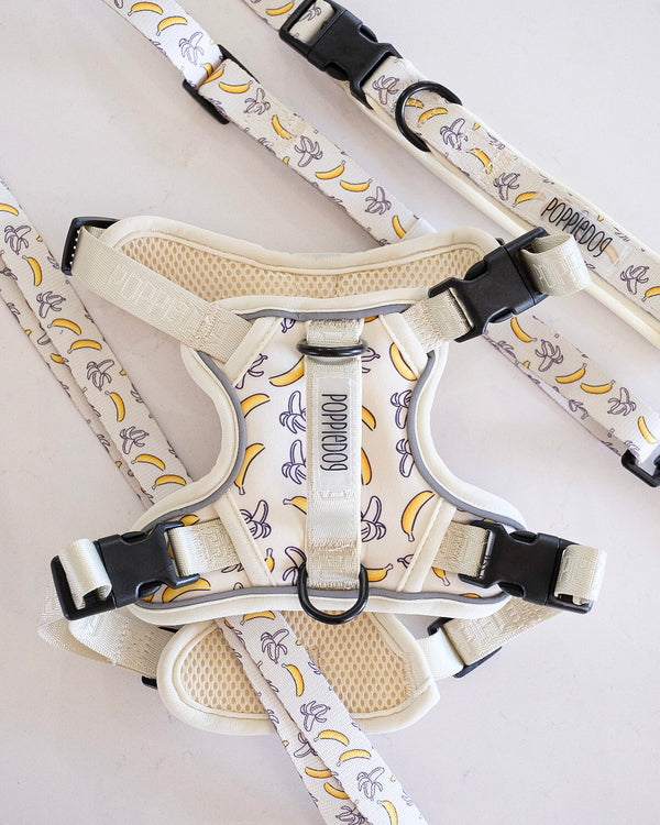 Banana walking set (no-pull harness & hands-free adjustable leash)