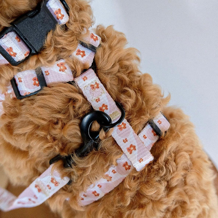 Teddie harness - Poppie