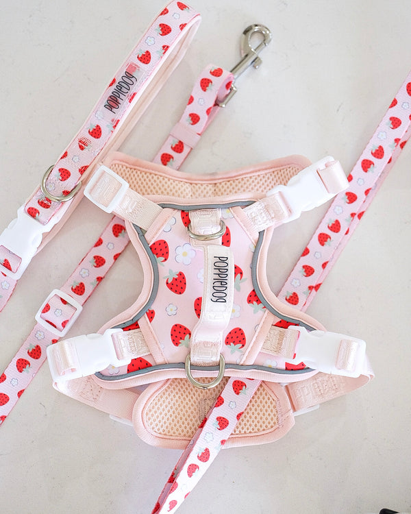 Strawberry walking set (no-pull harness & hands-free adjustable leash)