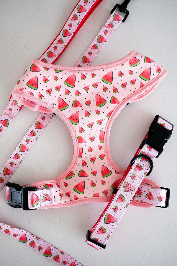 Melon Walking Set