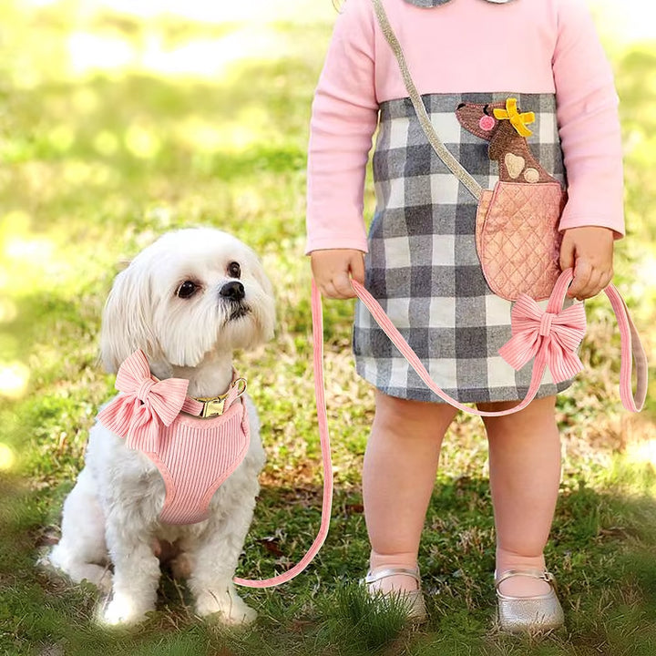 Pink Dog Collar Harness Leash Set