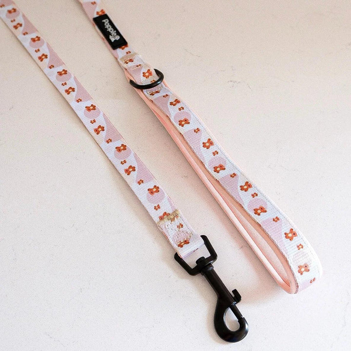 Teddie leash - Poppie